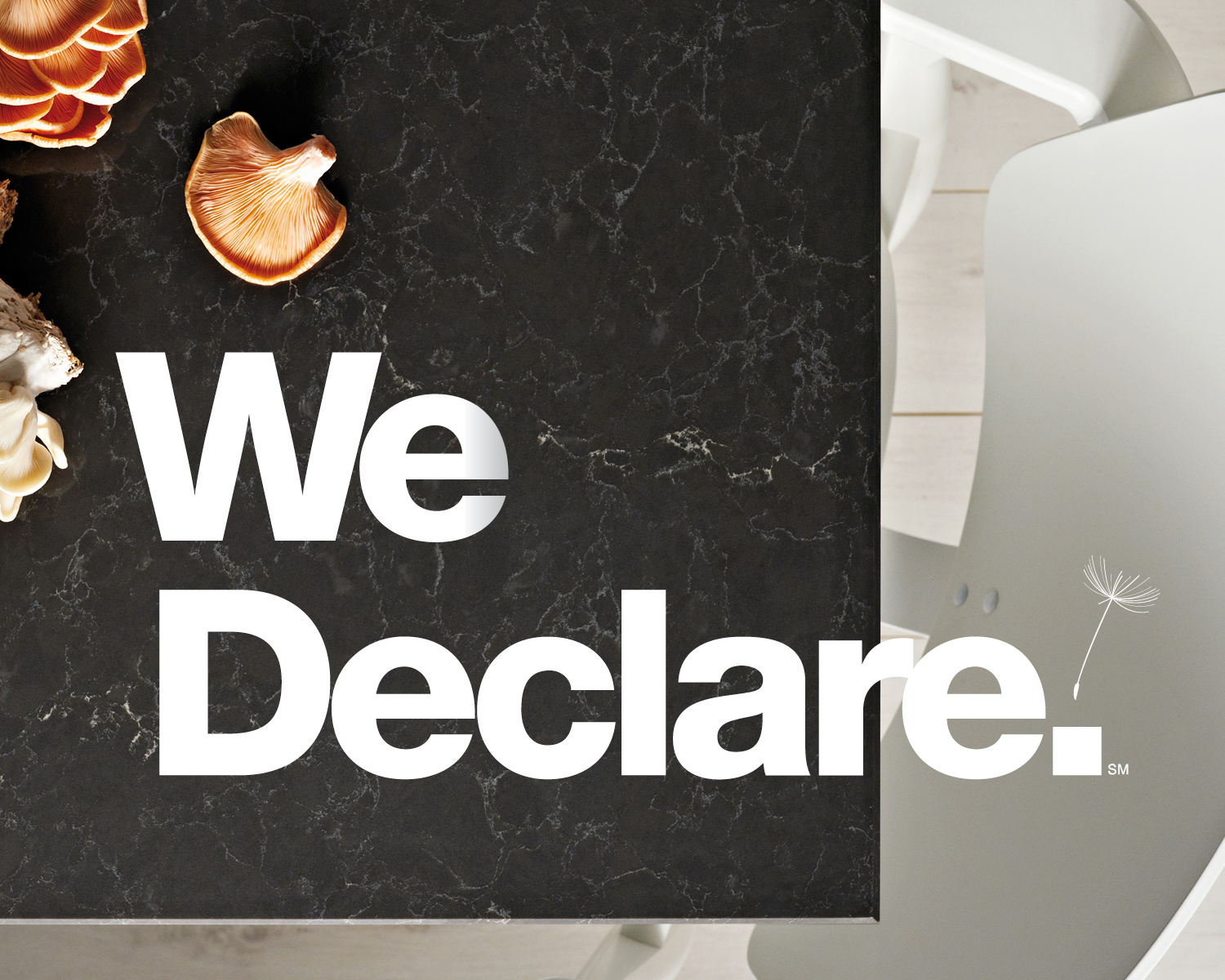 Caesarstone Introduces New Declare Label