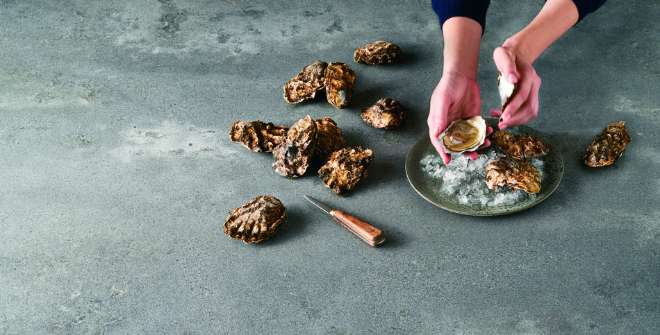 Oysters on a countertop of Rugged Concrete quartz of grays, white patinas, and industrial-inspired imperfections.